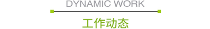 工作动态