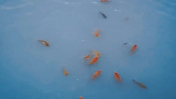 水处3.jpg