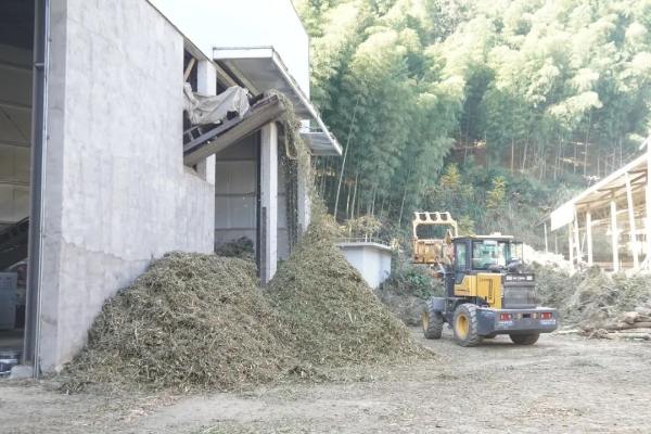 遂昌秸秆焚烧3.jpg