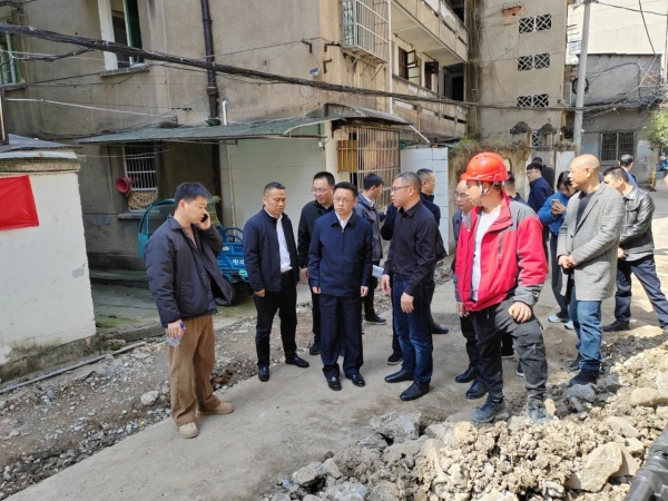毛市长调研2.jpg