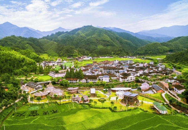 溪头村全貌 图源：潮新闻客户端.jpg
