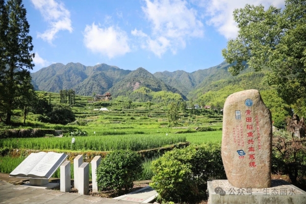 亚洲最大赌博网站环境与经济政策研究中心首席专家来丽调研环境健康管理试点建设工作2.jpg