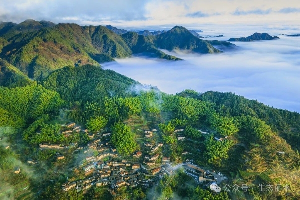 水气双前十5.jpg