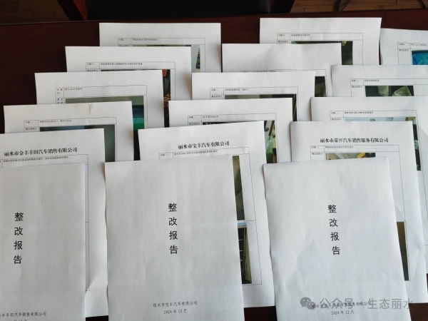 整治有力 指导有心 3.jpg