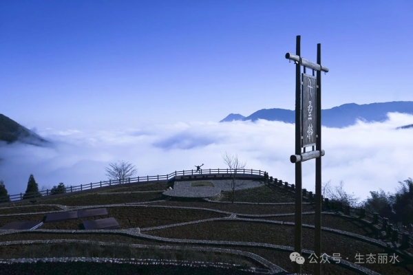 云和崇头镇：绿电云海，零碳新篇正当时3.jpg