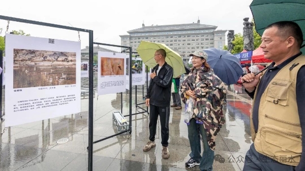 龙泉分局.jpg