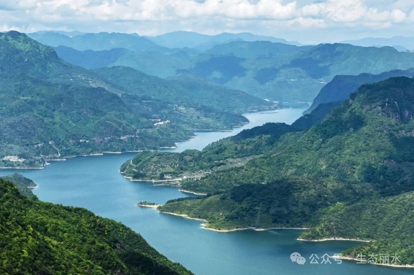 景宁：共同现代化建设征程上的治水足迹2.jpg