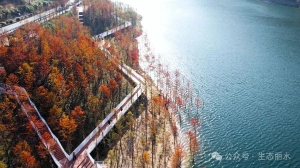 景宁：共同现代化建设征程上的治水足迹4.jpg