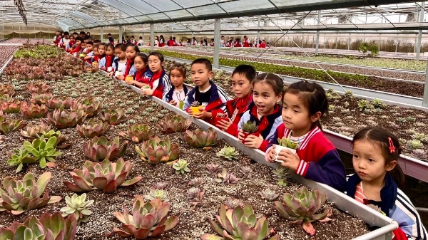 景宁“生物多样性+”：让自然成为最好的老师4.jpg